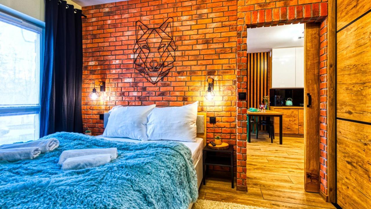 Apartament Bialy Wilk - 5D Apartamenty Świeradów-Zdrój Εξωτερικό φωτογραφία